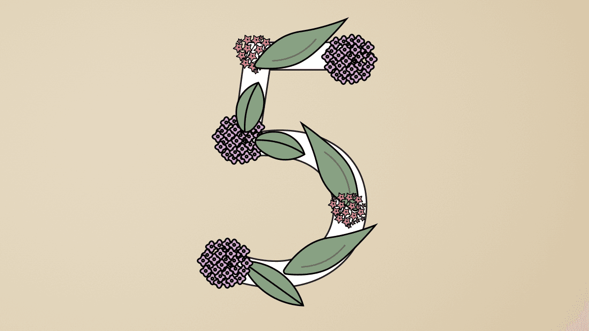 Claude Sonnet 5 Closes the Gap With Opus at a Fraction of the Cost