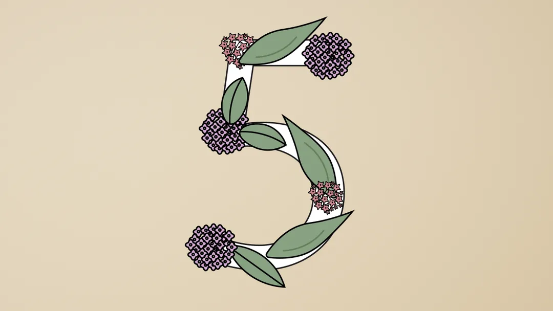 Claude Sonnet 5 Closes the Gap With Opus at a Fraction of the Cost